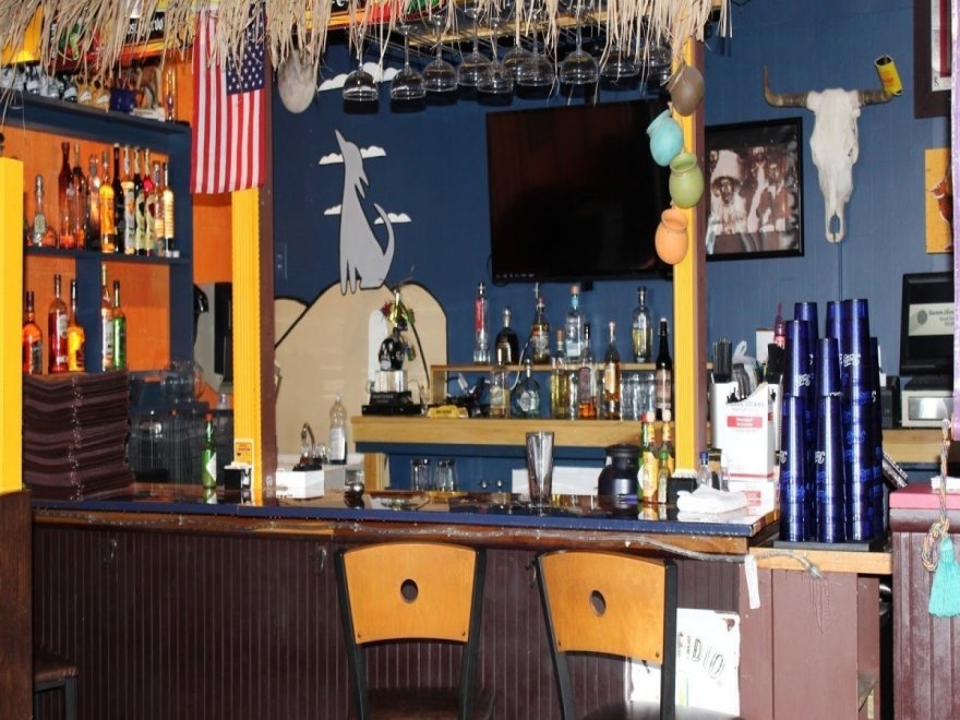 Tequila Mockingbird Tequila Mockingbird