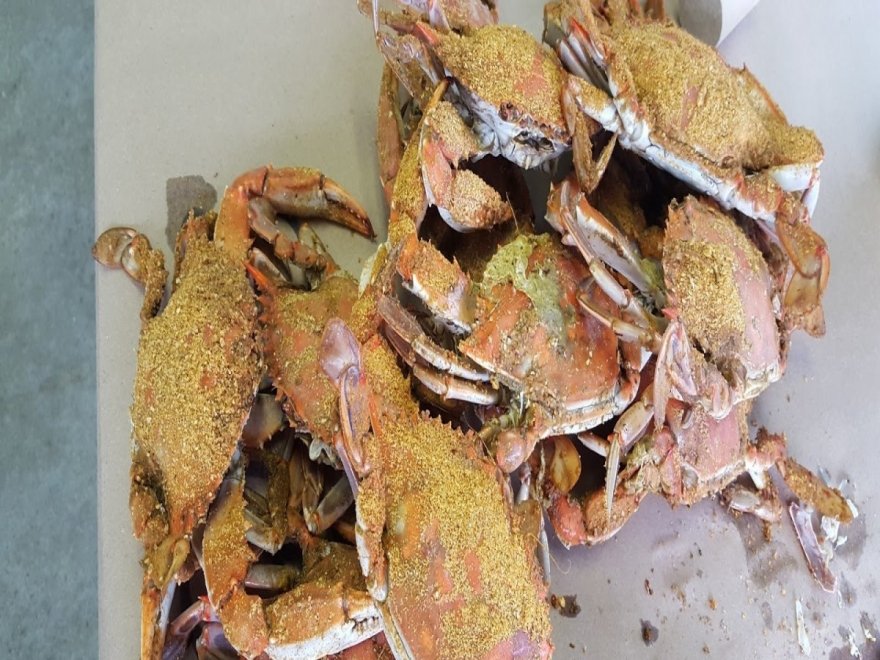 OCM Crabs OCM Crabs