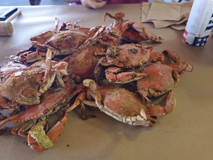 OCM Crabs OCM Crabs