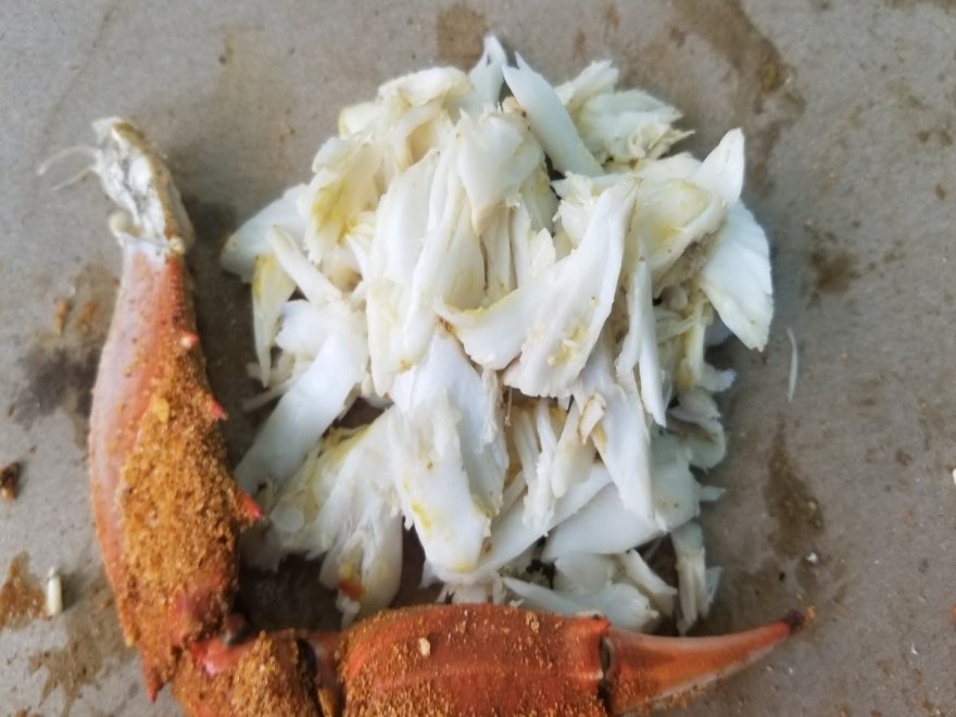 OCM Crabs OCM Crabs