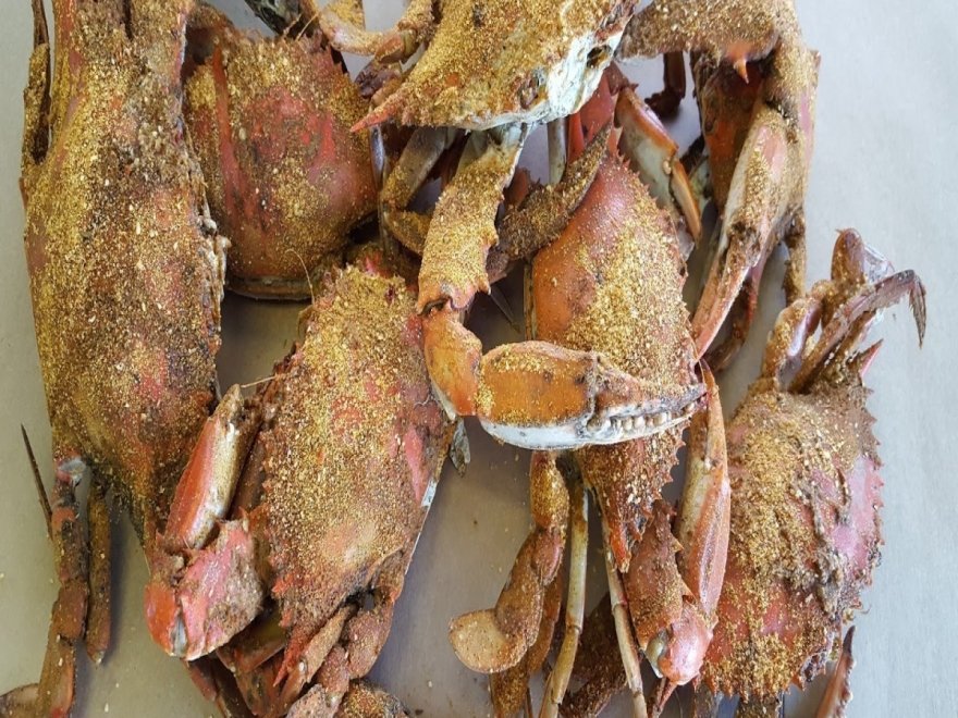 OCM Crabs OCM Crabs