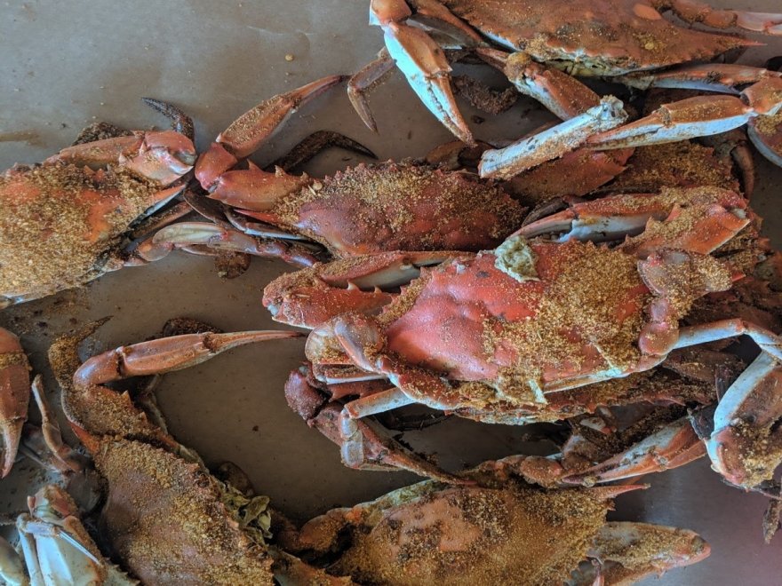 OCM Crabs OCM Crabs