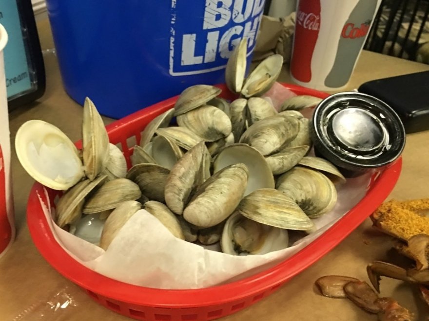 OCM Crabs OCM Crabs