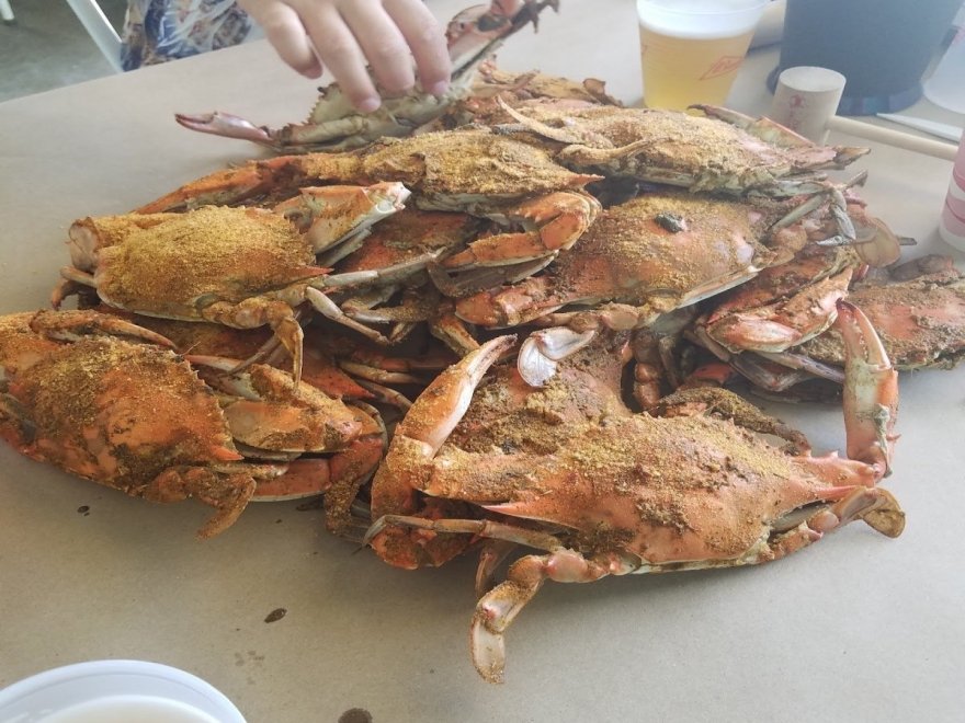 OCM Crabs OCM Crabs