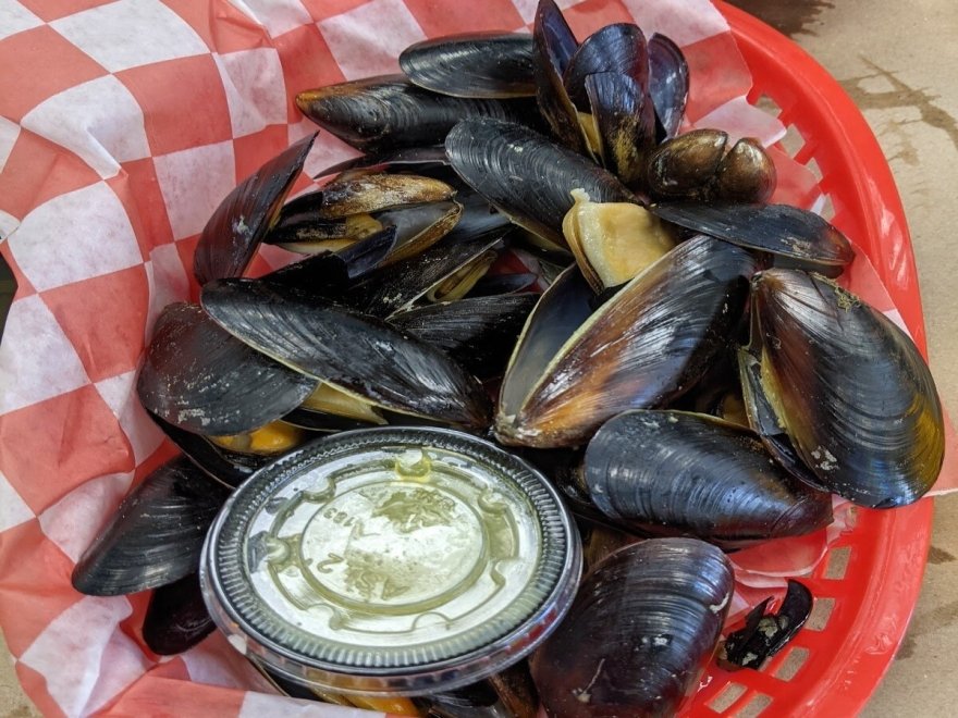 OCM Crabs OCM Crabs