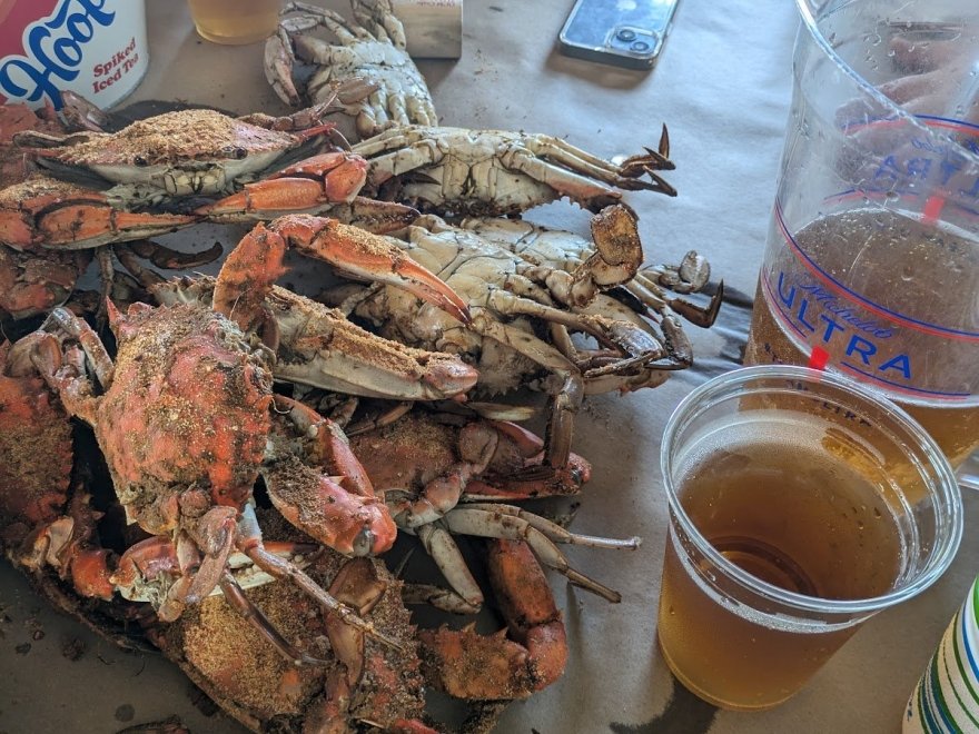 OCM Crabs OCM Crabs
