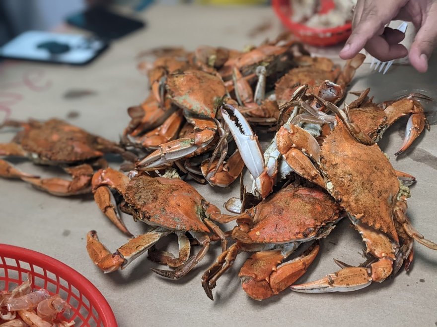 OCM Crabs OCM Crabs