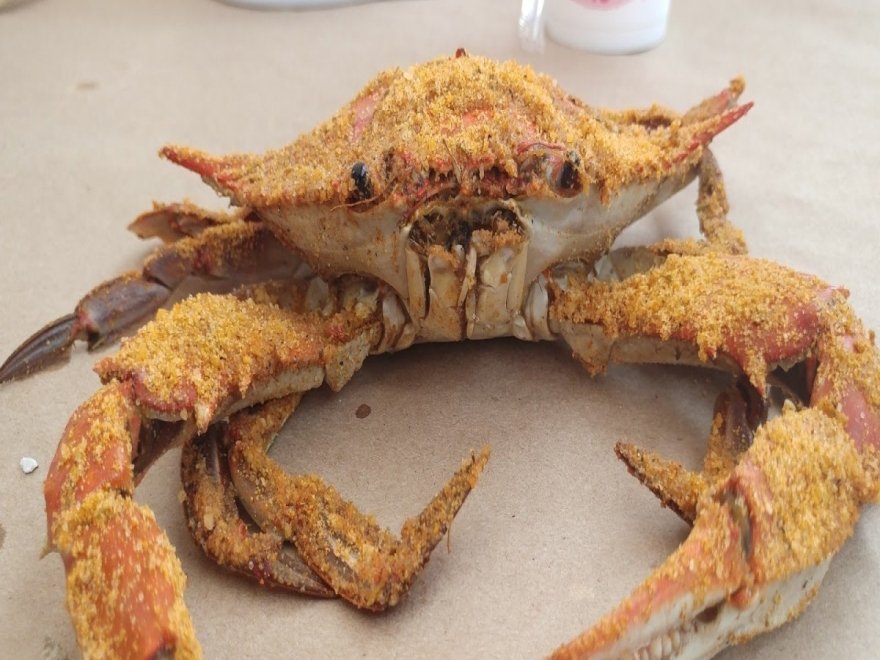 OCM Crabs OCM Crabs