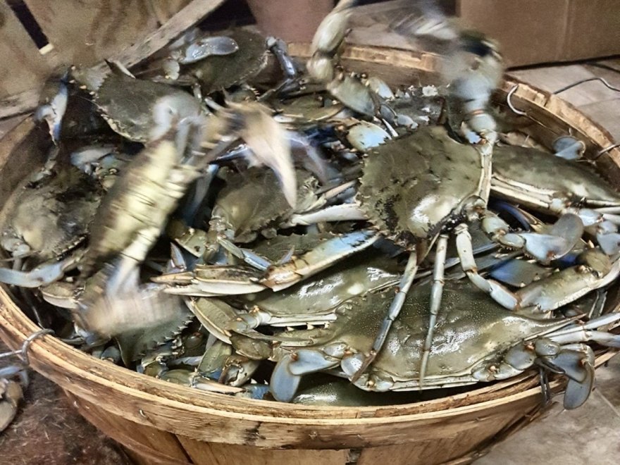 OC Uptown Eats OC Uptown Eats